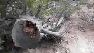 Ag Silver Tour Blog - Frisco, CO 10-31-07