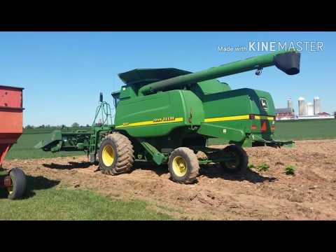 2016 corn harvest: Day 1 of combining corn Video