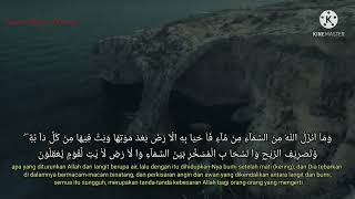 Download lagu Juz 2 | Al-Baqarah 142-186 | Ustadz Abu Usaamah Syamsul Hadi mp3 Download lagu Juz 2 | Al-Baqarah 142-186 | Ustadz Abu Usaamah Syamsul Hadi mp3