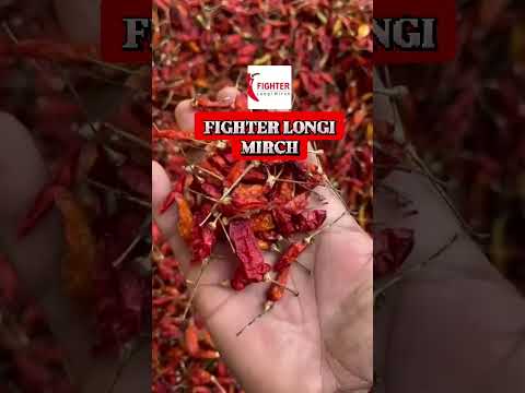 25 kg Fighter Premium Yellow Chilli Powder