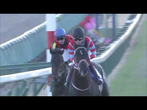 2019 Hopeful Stakes (G1)