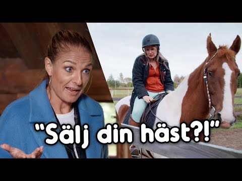Säljer hellre HUSET än HÄSTEN?! | Lyxfällan