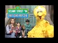 Sesame Street 94 Gina S Scenes From 3240