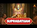 Suprabhatham Venkateswara Stotram Male Voice Thirupathi Video