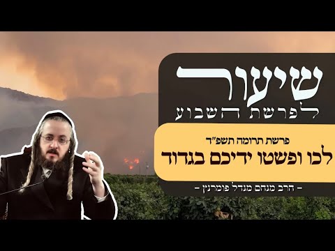 שיעור פרשת תרומה תשפ"ד