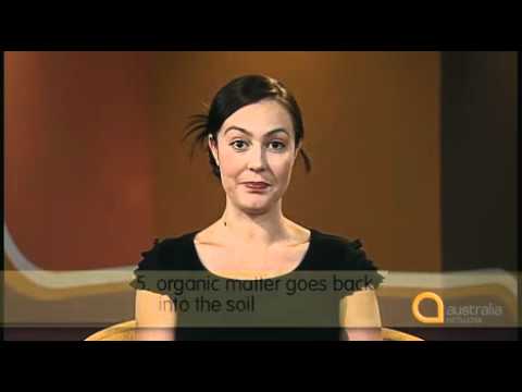 Study English - Series 1, Episode 12: Carbon Cycle