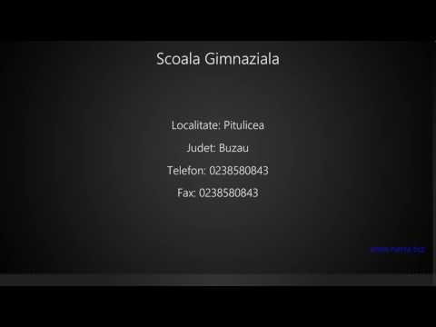 Scoala Gimnaziala Pitulicea