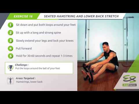 EverStretch Stretching Grip Exercise 16: Seated Hamstring and Lower Back Stretch
