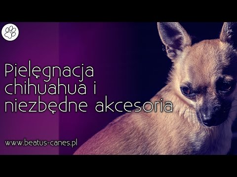 Jak wzmocnić mięśnie nóg Mięśni kapsułka