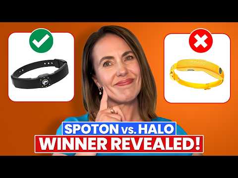 SpotOn vs Halo: Which GPS Dog Collar Is Actually More Accurate?