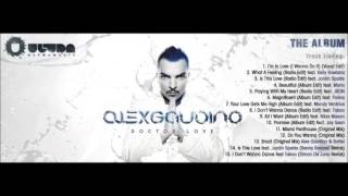 08. Alex Gaudino Feat. Taboo - I Don&#39;t Wanna Dance (Radio Edit)