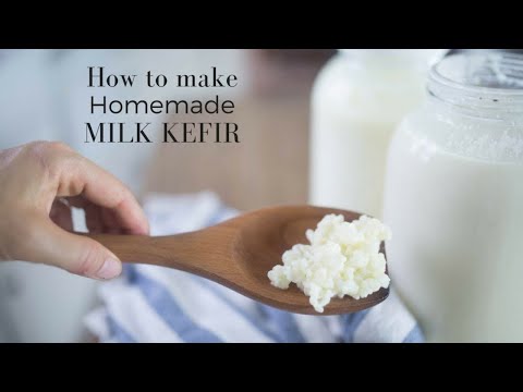 How to Make Milk Kefir Video