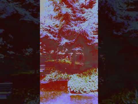 True Story  NRanges & Uberman Foil L. vocal-mix