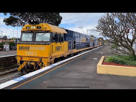 Pacific National NR1, NR59 & NR2 with 4MB4 at Maitland - 29/9/22