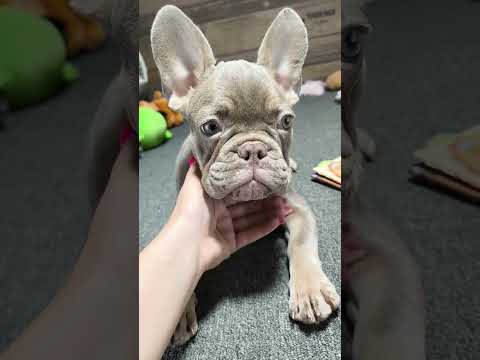 Video 2