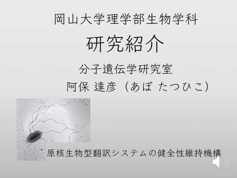 理学部生物学科分子遺伝学研究室研究紹介