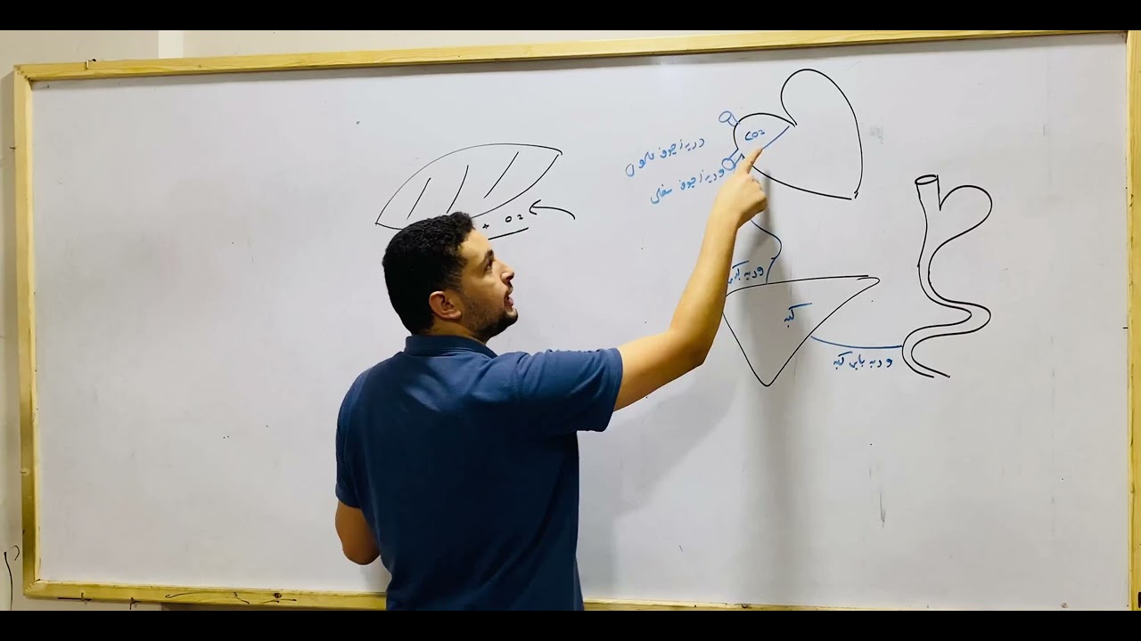ازاي خلايا الجسم بيوصلها الغذاء والأكسجين|| مقدمه مهمه