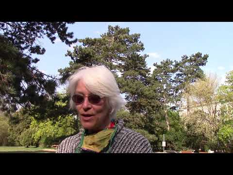 Heilsames Singen: "So tief in die Erde wie ein Baum"