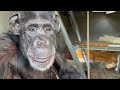 Oldest Animal At The Zoo Celebrates A Birthday