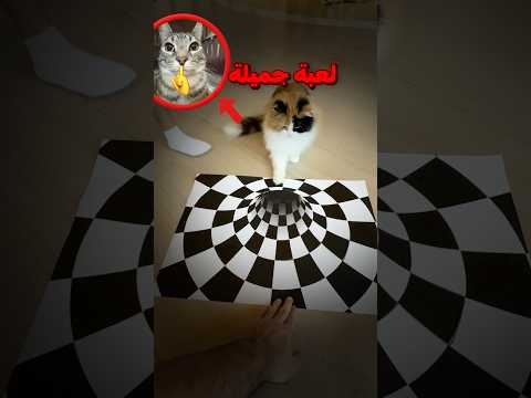 رسمت حفرة للقطة والصدمة