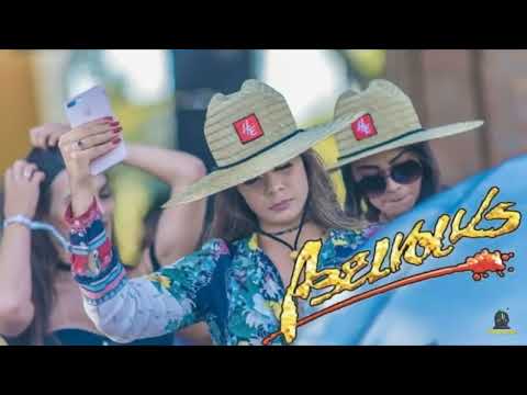 Abelvolks 2022 House - A Melhor de Todas Neumodel Numb