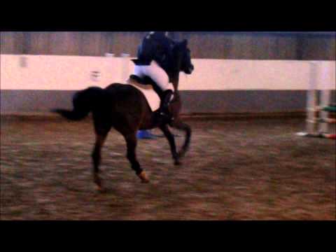 Rakel og Jupiter sjr 0,80 m