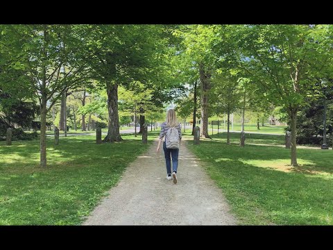 Christian Maric - A Strong Way to Put It - Music Video