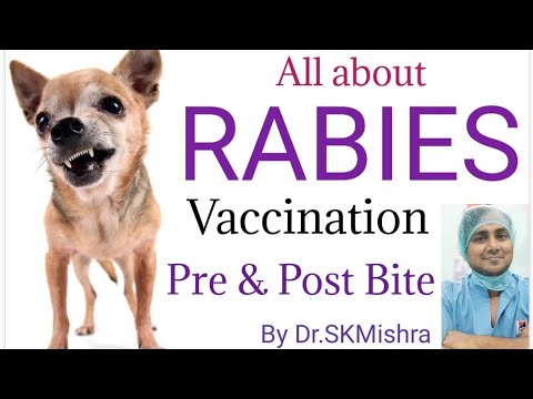Dog bite? vaccination guidelines