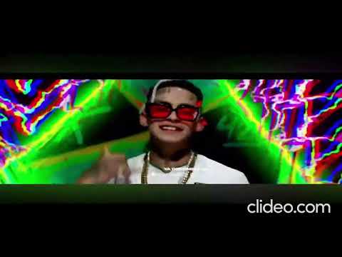 PITBULL TERRIER BIRY - Perro Primo ❌ L-Gante ❌ DT.Bilardo | Reversed