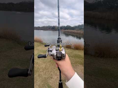 Kleine Feen jagen💀