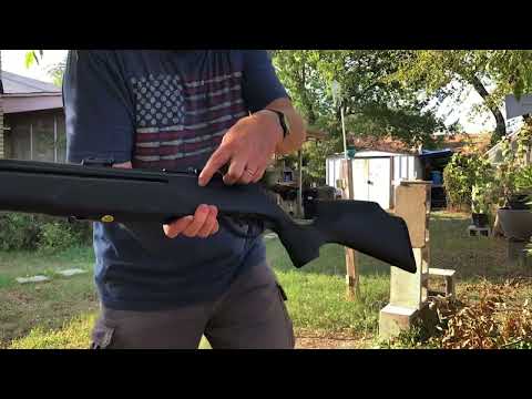 Gamo Arrow .22; I take the dip into the pcp airgun waters