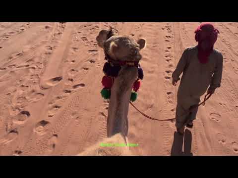 The Wadi Rum Desert in Jordan (The famous famous desert in the country!)