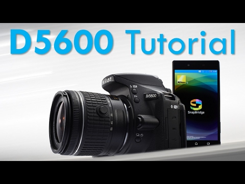 Nikon D5600 Overview Tutorial