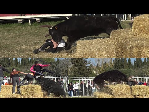 AUBAIS COURSE AU PLAN 04.03.2023