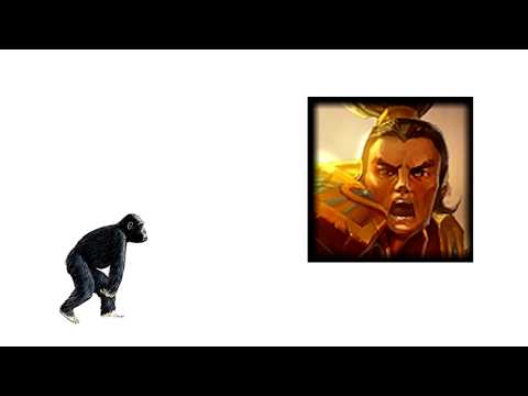 The Xin Zhao Evolution