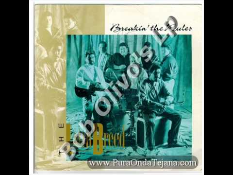 Reunion Medley - Latin Breed.wmv