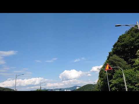 넬라포레스타 20190622