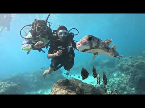 Dive at lakshadweep....today my first dive in lakshadweep ocean 