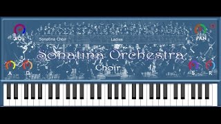 Video thumbnail for Sonatina Choirs VST by bigcat Instruments by PLUGINS4FREE
