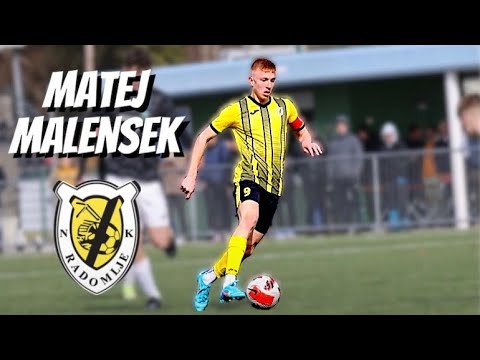 Matej Malensek • NK Radomlje • Highlights Video (Goals, Assists, Skills)