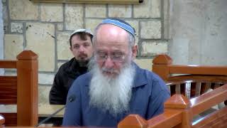 מלכות שלמה מתפסח עד עזה – שיעור 11 – מלכים א' – פרק ד'-ה'