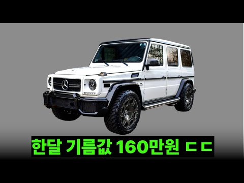 지바겐 구매 고려 중이라면 당장 봐야하는 영상