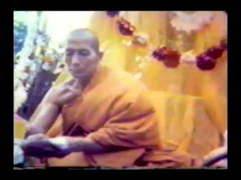 Venerable Webu Sayadaw - video 2