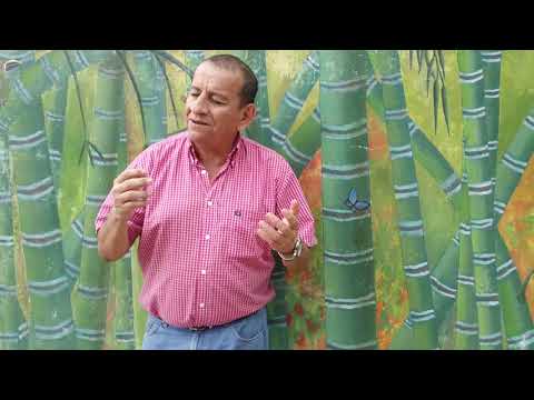 El Abuelo - Jose Arbey