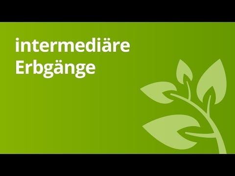 Intermediäre Erbgang | Biologie | Genetik und Entwicklungsbiologie