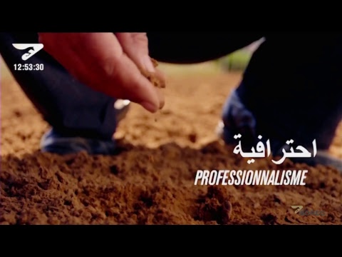 Emission Pronos Courses du 26/10/2018