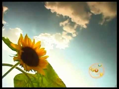 Akustik Bend - Samo Moja Vojvodina