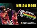 Mellow Mood & Friends @ Rototom Sunsplash ...