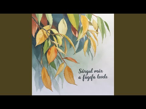 Sárgul már a fügefa levele (Hungarian Folk Balkan Style)