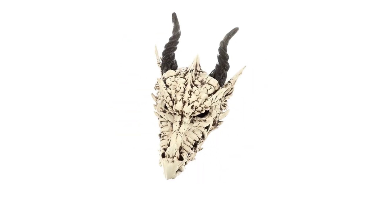 Stoker's Moors Dragon Skull Statue: Large Video